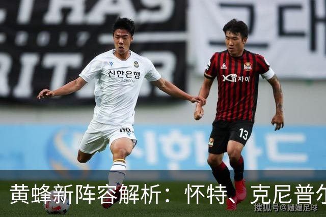 黄蜂新阵容解析：怀特、克尼普尔等人担纲首发